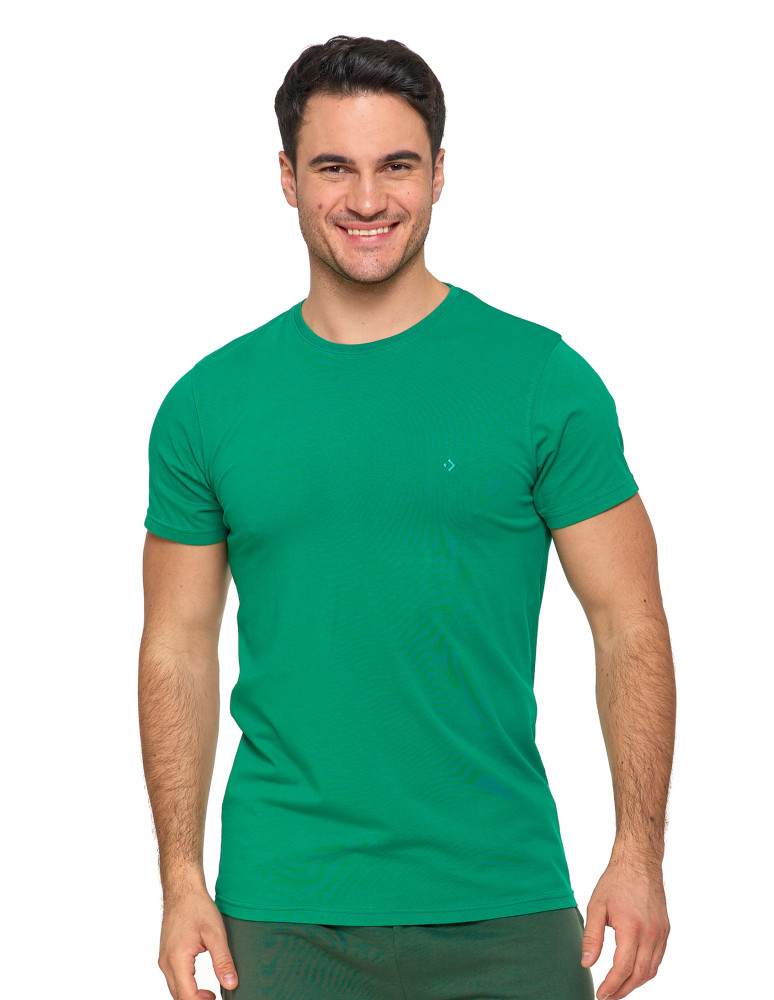 Koszulki, topy, koszule - Koszulka męska T-shirt bawełniana Premium okrągły dekolt ZIELONY - produkt moraj.pl 1