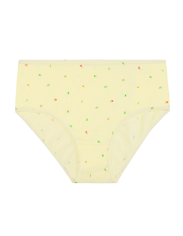 Figi - Figi majtki bawełniane plus size klasyczne 4-pak WIELOKOLOROWY - produkt moraj.pl 4