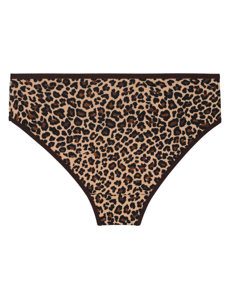 Figi - Majtki damskie figi bikini z motywem panterki 4-pak WIELOKOLOROWY - produkt moraj.pl 2